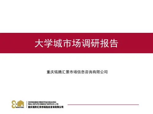 大学城市场调研报告解析