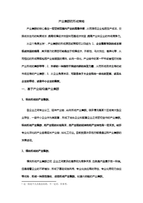 产业集群发展策略