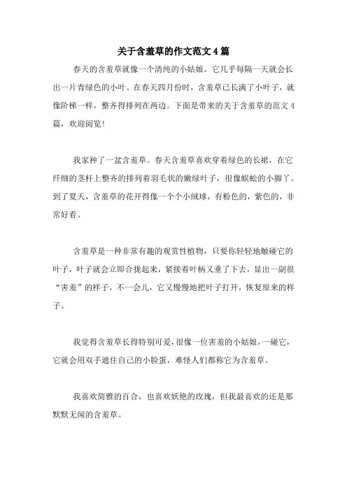关于含羞草的作文范文4篇