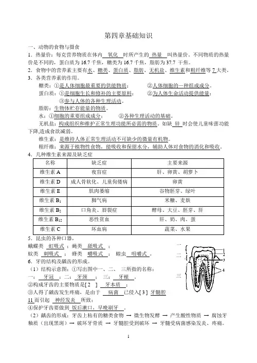 浙教版科学九年级上第四章基础知识