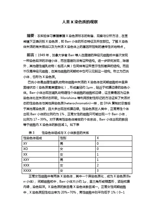 人类X染色质的观察