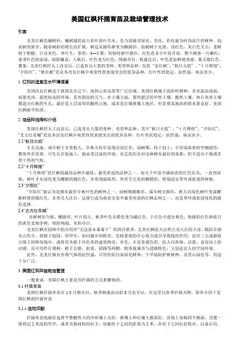 美国红枫扦插育苗及栽培管理技术