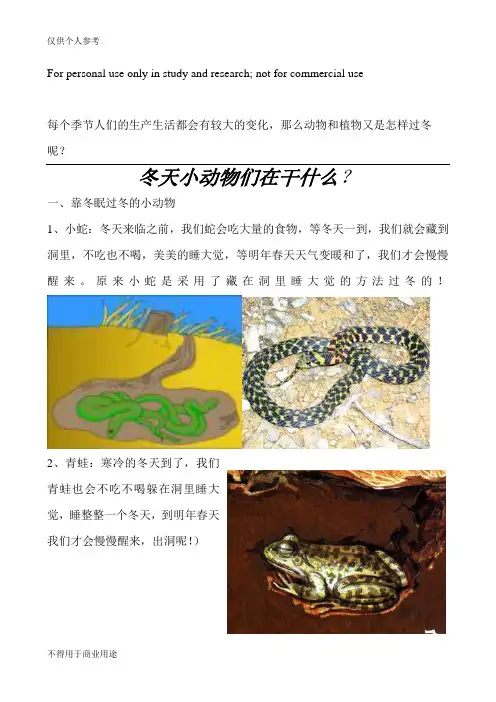 冬天动物们植物怎样度过冬天
