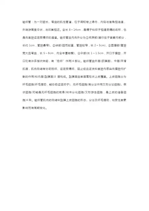 临床执业医师考试考点速记：输卵管
