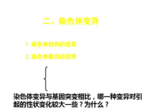 染色体变异 高中生物必修二课件