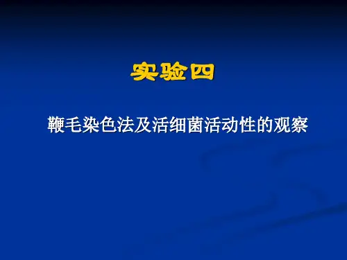 实验四 鞭毛染色法及活细菌活动性的观察