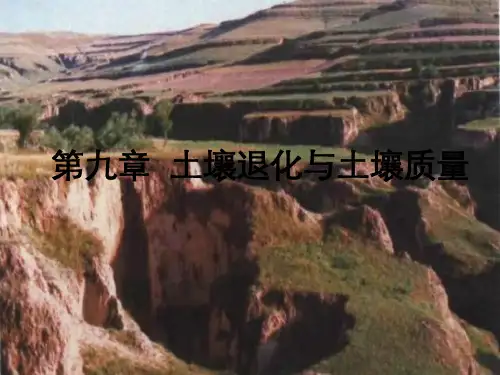 土壤退化和土壤质量
