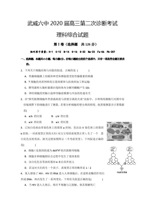 甘肃省武威第六中学高三下学期第二次诊断考试理科综合试题含答案