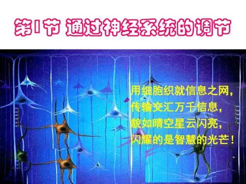人教版高中生物必修三第二章第1节《通过神经系统的调节》 课件 (共74张PPT)