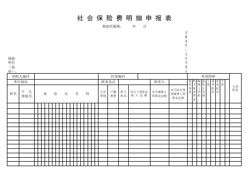 社保明细申报表