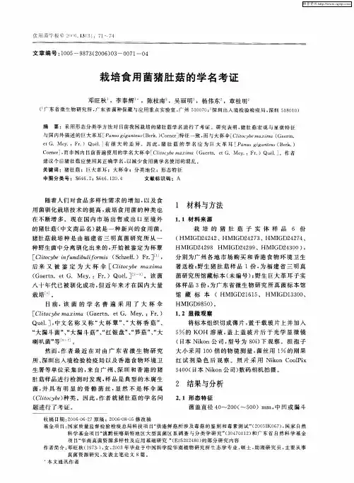栽培食用菌猪肚菇的学名考证