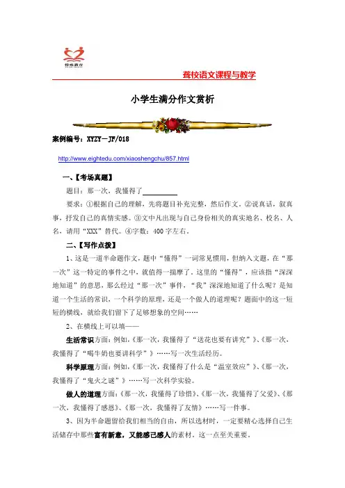 小学生满分作文赏析