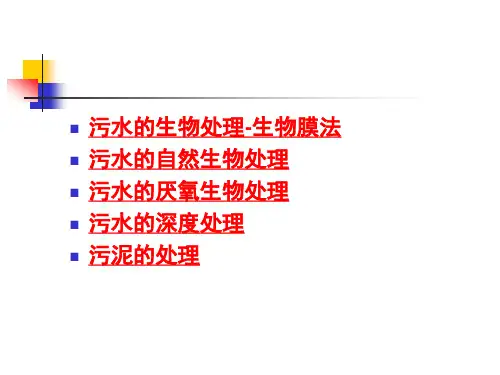 生物膜法习题课.