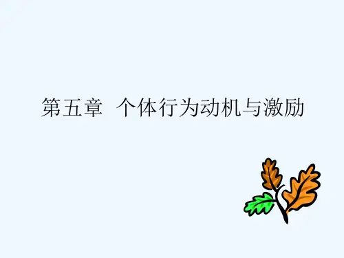 个体行为动机与激励理论