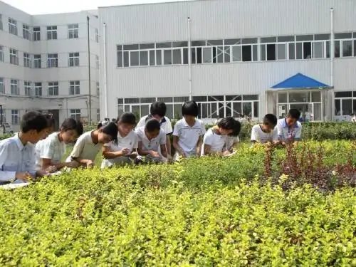 第一节 尝试对生物进行分类  课件(共53张PPT)