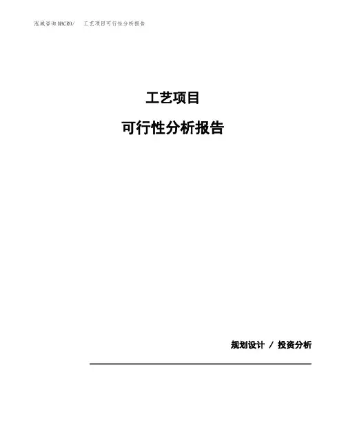工艺项目可行性分析报告(模板参考范文)