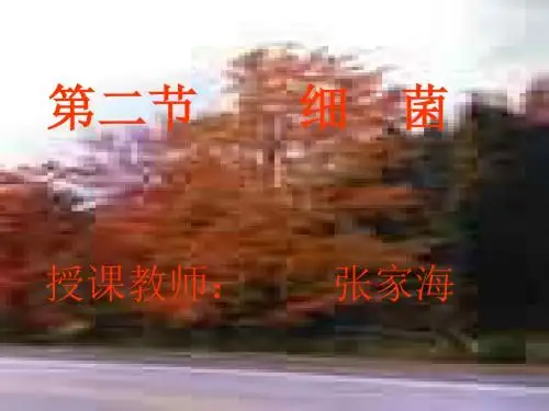 八年级生物细菌1