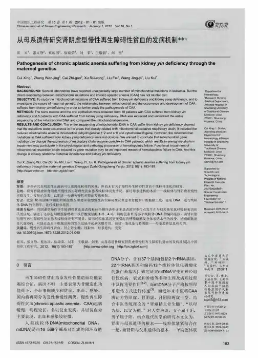 从母系遗传研究肾阴虚型慢性再生障碍性贫血的发病机制