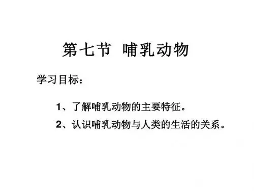 第七节哺乳动物