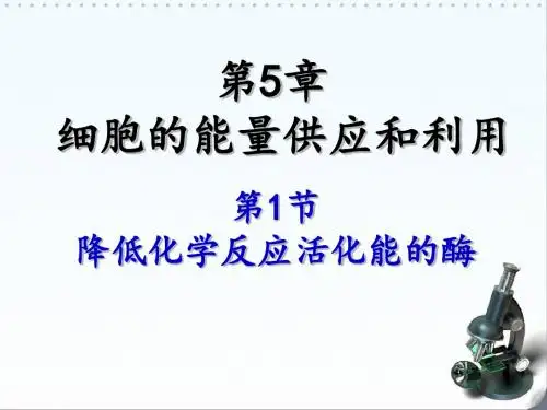 生物必修一5.1酶