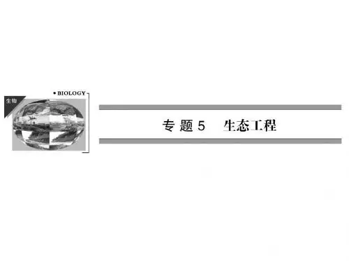 高二生物人教版选修3 课件5-1 生态工程的基本原理