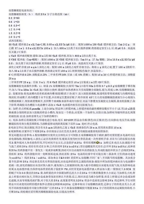 琼脂糖凝胶电泳知识
