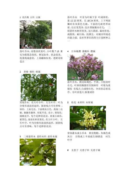 50种常见植物