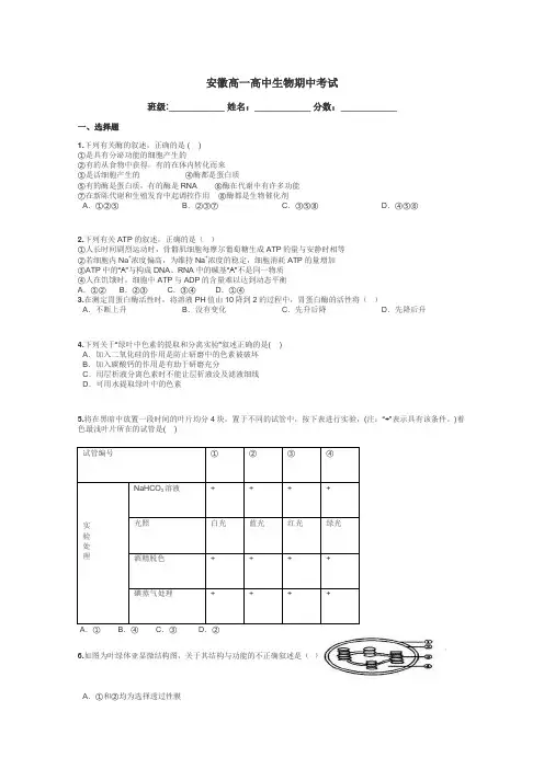 安徽高一高中生物期中考试带答案解析
