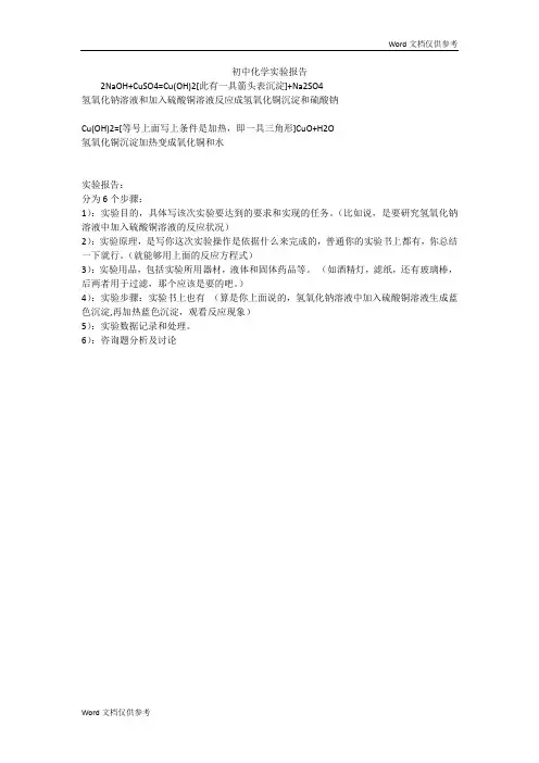 初中化学实验报告 2