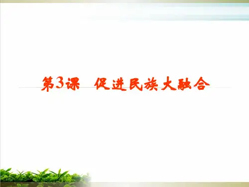 人教版选修一第三单元促进民族大融合PPT完整版