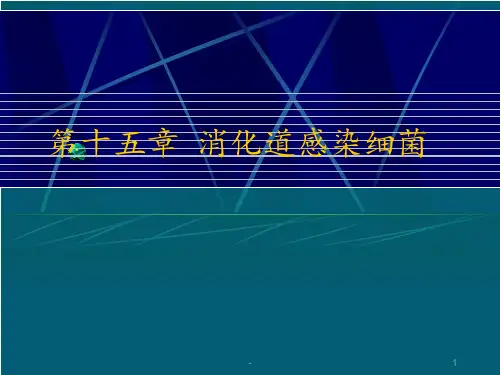 消化道感染细菌PPT课件