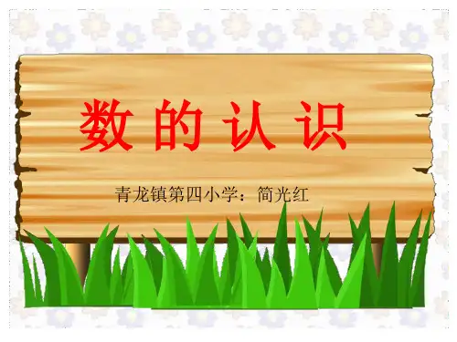 人教版六年级数学数的认识ppt课件