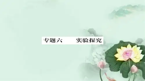 中考化学总复习第二轮专题训练提升能力专题六实验探究练习课件
