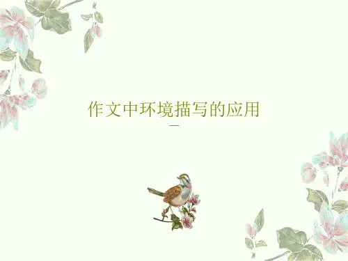 作文中环境描写的应用共20页文档