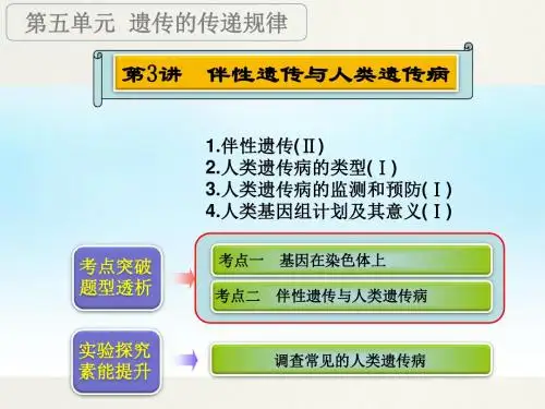 2016届一轮复习 第五单元 第3讲 伴性遗传与人类遗传病 (1)