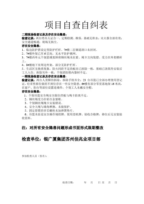 项目自查自纠表