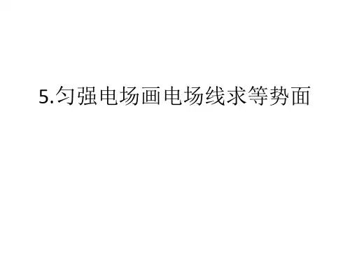 匀强电场画电场线求等势面 ppt课件