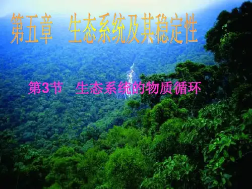 第3节生态系统的物质循环PPT优选课件