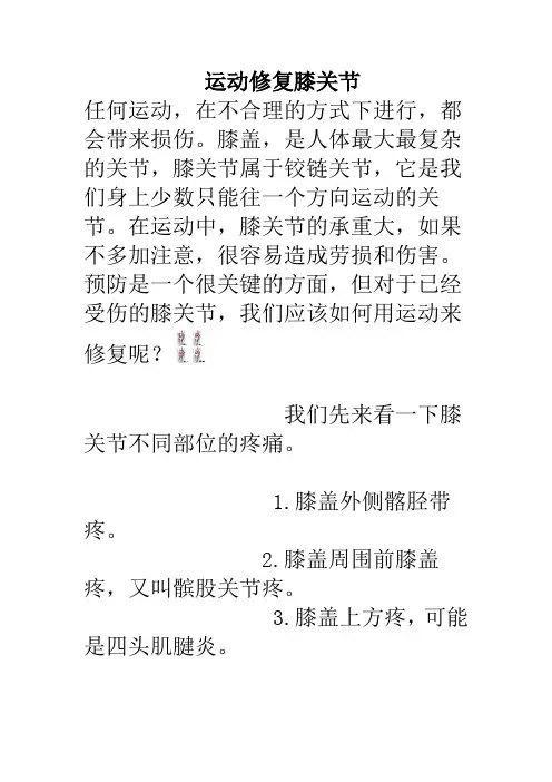 膝关节,运动