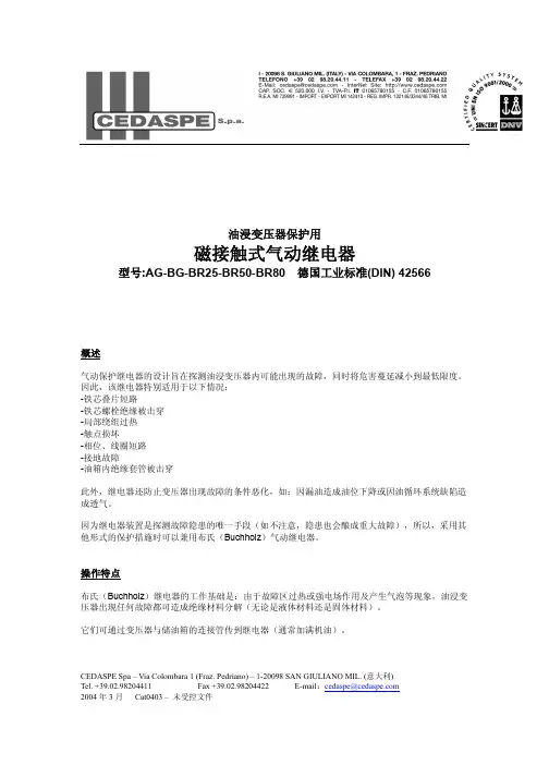 CEDASPE气体继电器