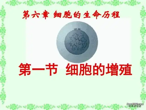 生物必修一第六章