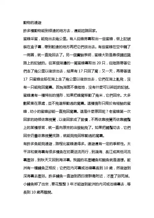 动物的远游