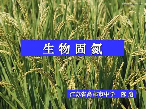 生物固氮
