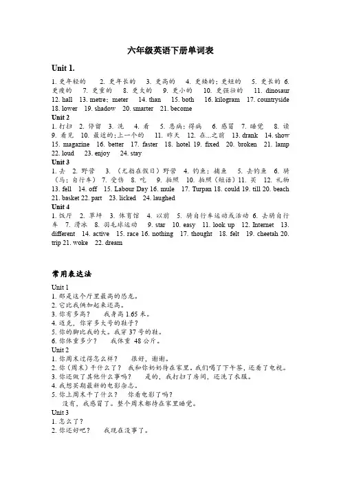 pep六年级英语下册单词表及常用表达法