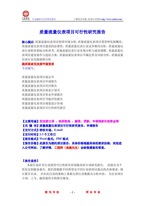 质量流量仪表项目可行性研究报告
