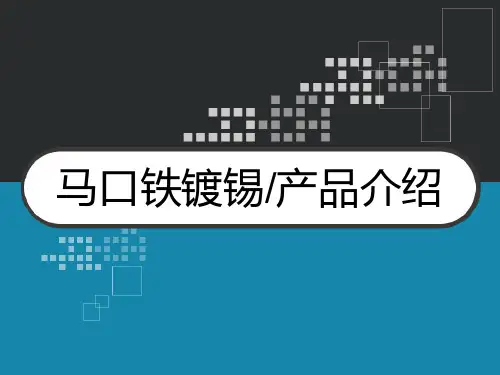 马口铁镀锡产品介绍 PPT