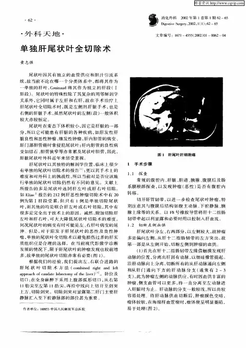 单独肝尾状叶全切除术