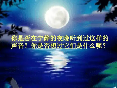 土壤里有什么PPT教学课件