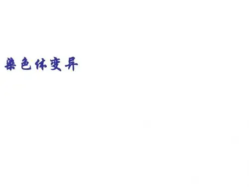 生物：5.2《染色体变异》课件(4)(新人教版必修2)