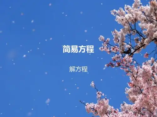 简易方程 2
